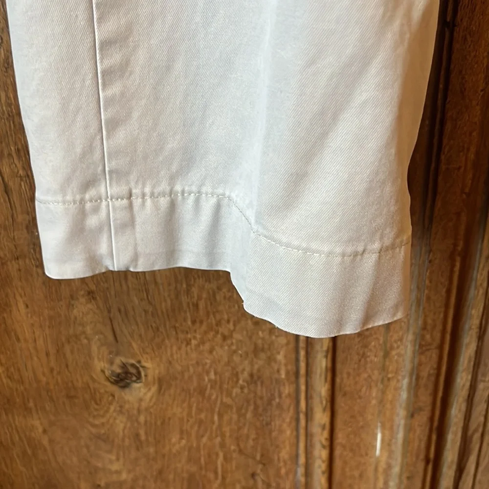 Banana Republic Chino Pants